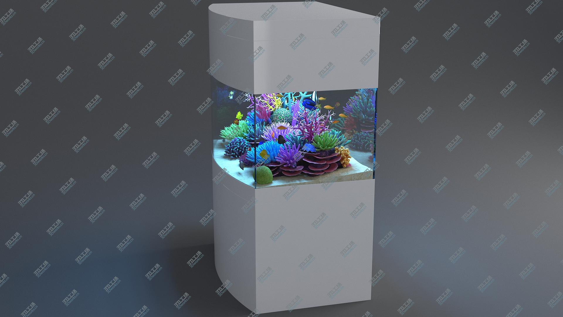 images/goods_img/202104093/Aquarium 07 3D/5.jpg